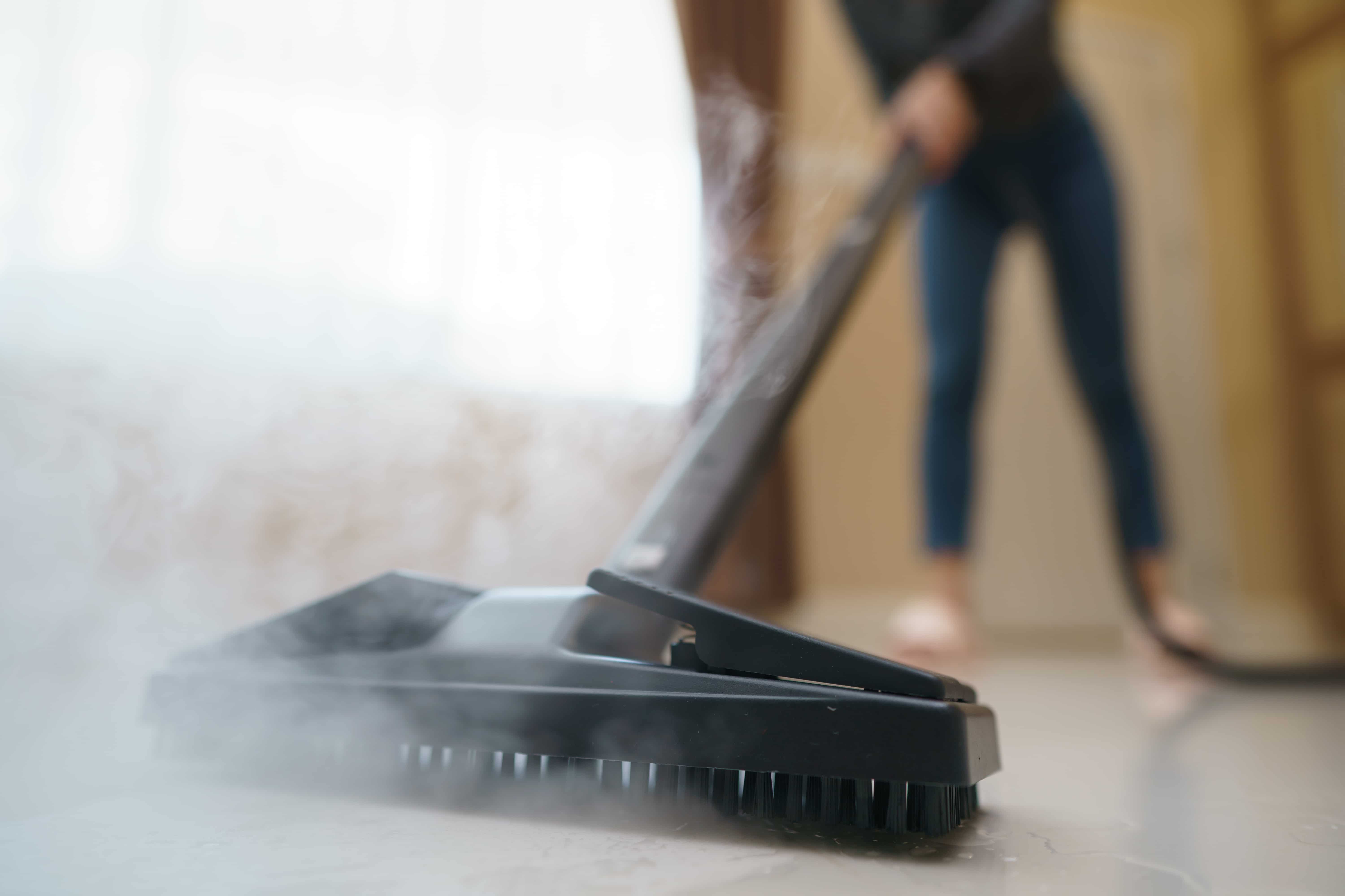 Sanitizing & Steam Cleaning: The Healthy Combination